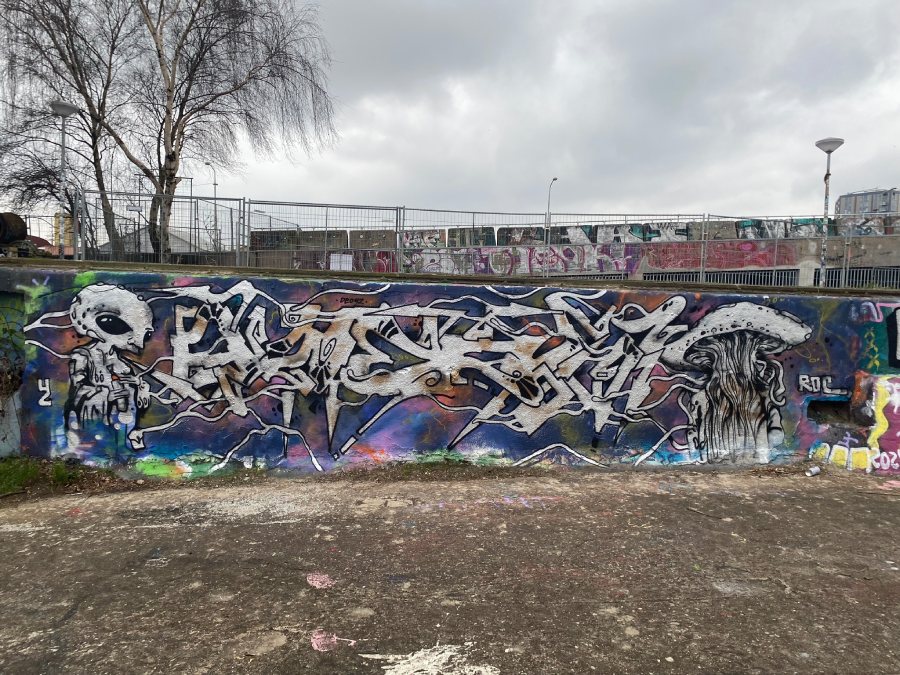 deo 42, ndsm, amsterdam, graffiti